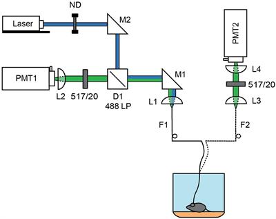 Monitoring Behaviorally Induced Biochemical Changes Using Fluorescence Lifetime Photometry